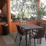Yucca