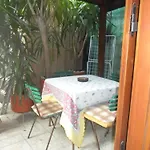 Yucca 3*