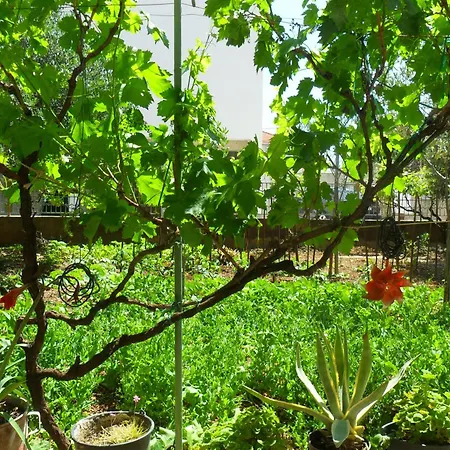 Yucca Πανσιόν Τρογκίρ